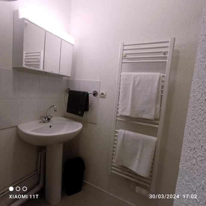 Villeurbanne Centre Appartement Meuble Extérieur photo